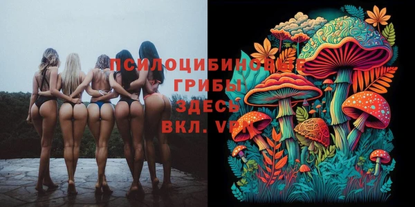 экстази Алексеевка